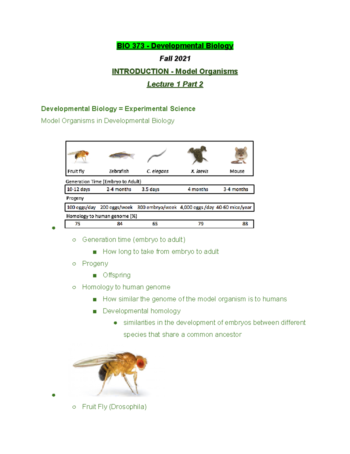 BIO 373 Lecture 1 Part 2 - Fall 2021 - BIO 373 - Developmental Biology ...