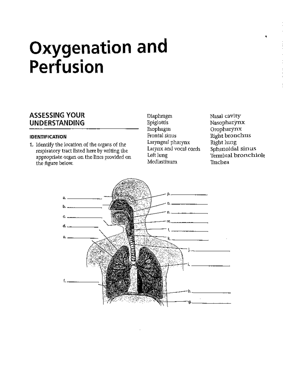 155 Oxygenation Practice Questions NUR155 Studocu