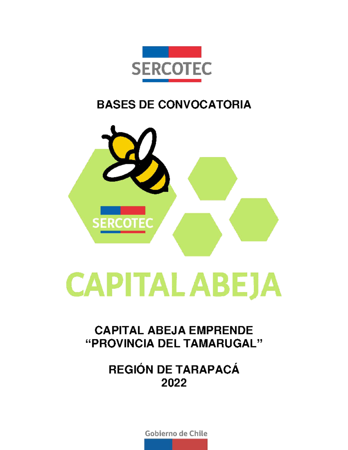 Bases Abeja Emprende Provincia Tamarugal Tarapac 2022 V B BASES DE   Thumb 1200 1553 