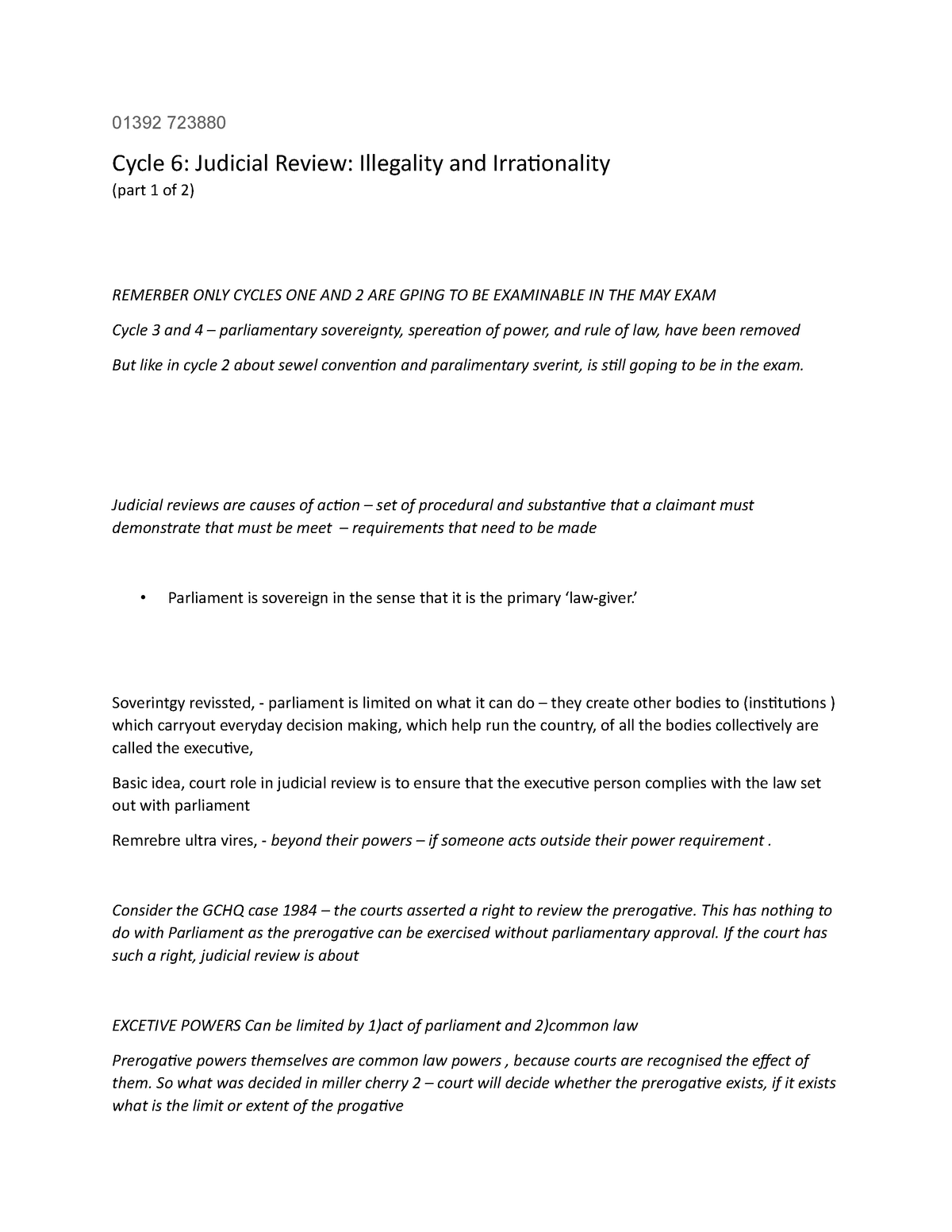 irrationality judicial review essay