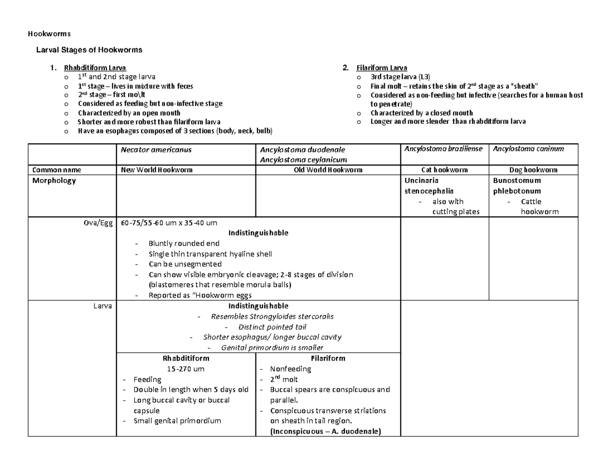 2-nematodes-hookworm-hookworms-larval-stages-of-hookworms-1