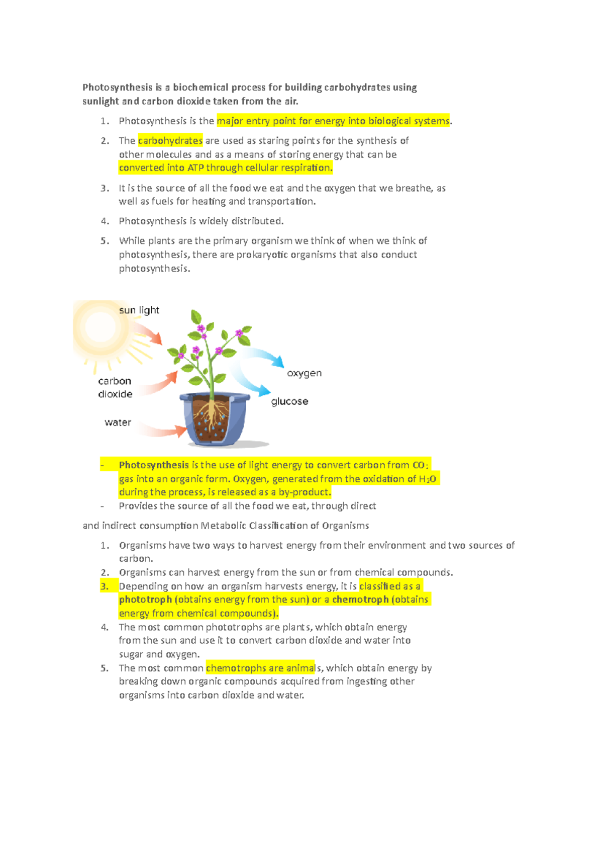 Week 5 - Week 5 Life Processes lecture notes - Photosynthesis is a ...