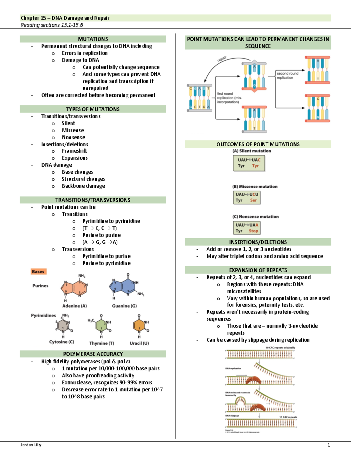 Molecular Biology Chapter 15 Exam 4 - Reading sections 15-15. MUTATIONS ...