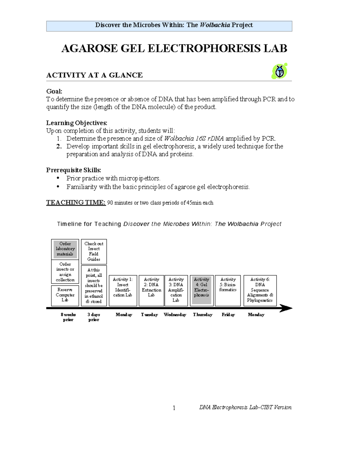 Wolbachia Lab 4 CIBT - The electrophoresis lab geneitcs - AGAROSE GEL ...