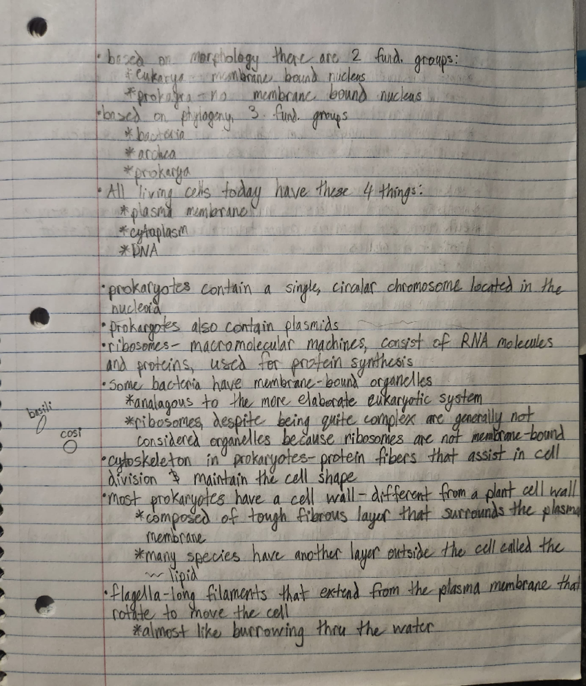 Biol 205 lecture 2 - COST ####### bza or iarpholegy th¡catt 2 fund ...