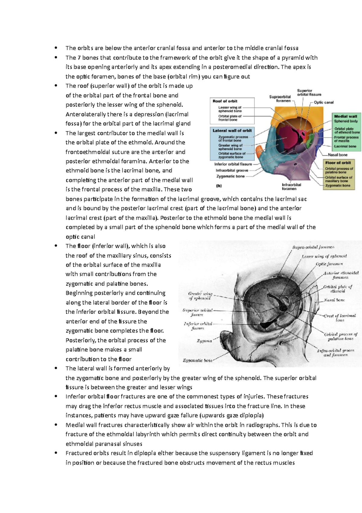 Lecture notes - the temporal and infratemporal fossae; the orbits; the ...