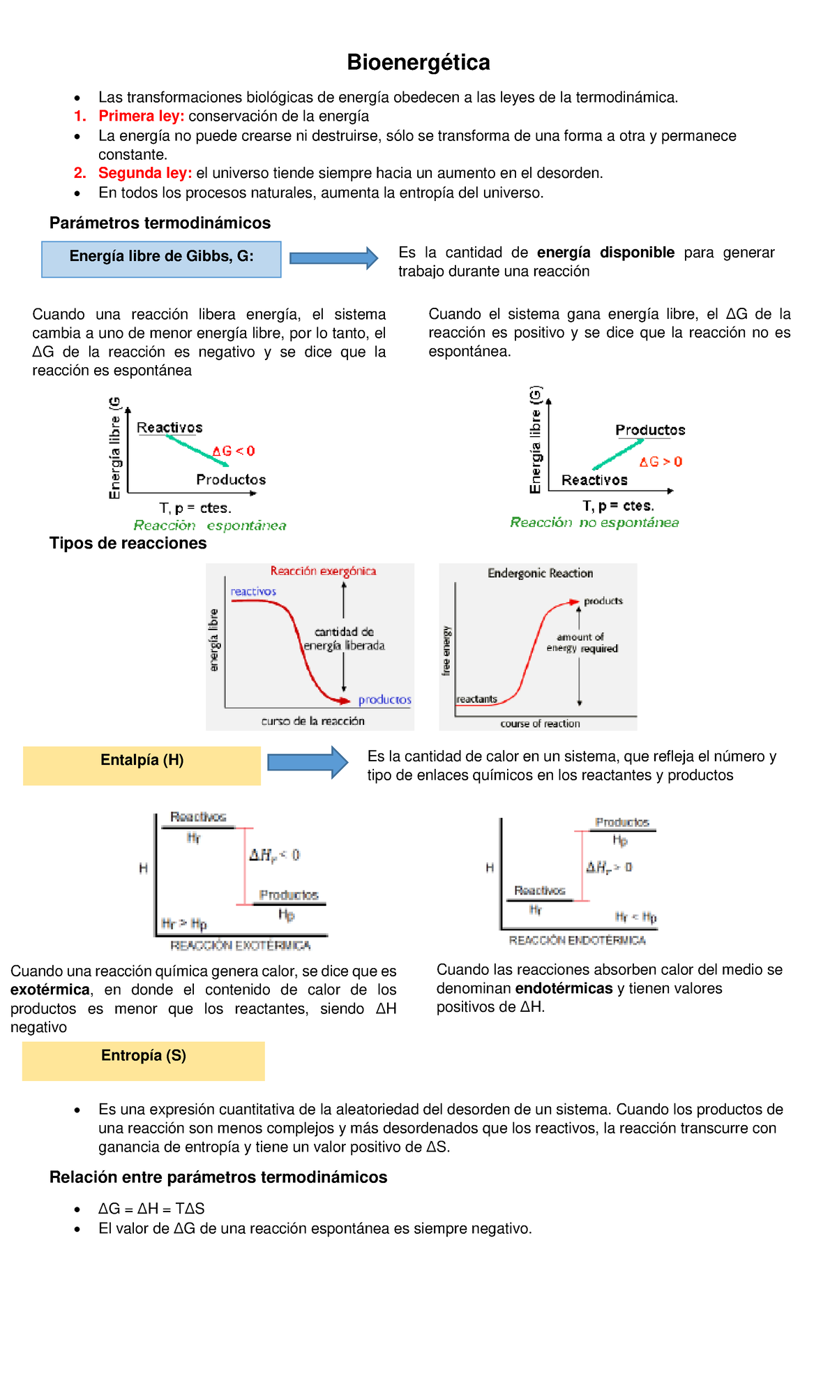 Resumen 8 Bioenergética - Bioenergética Las transformaciones biológicas ...