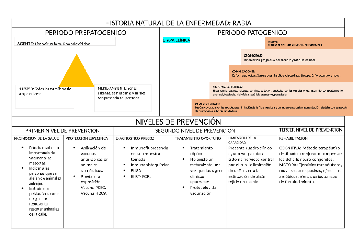 Historia Natural De La Enfermedad De La Rabia www.studocu.com