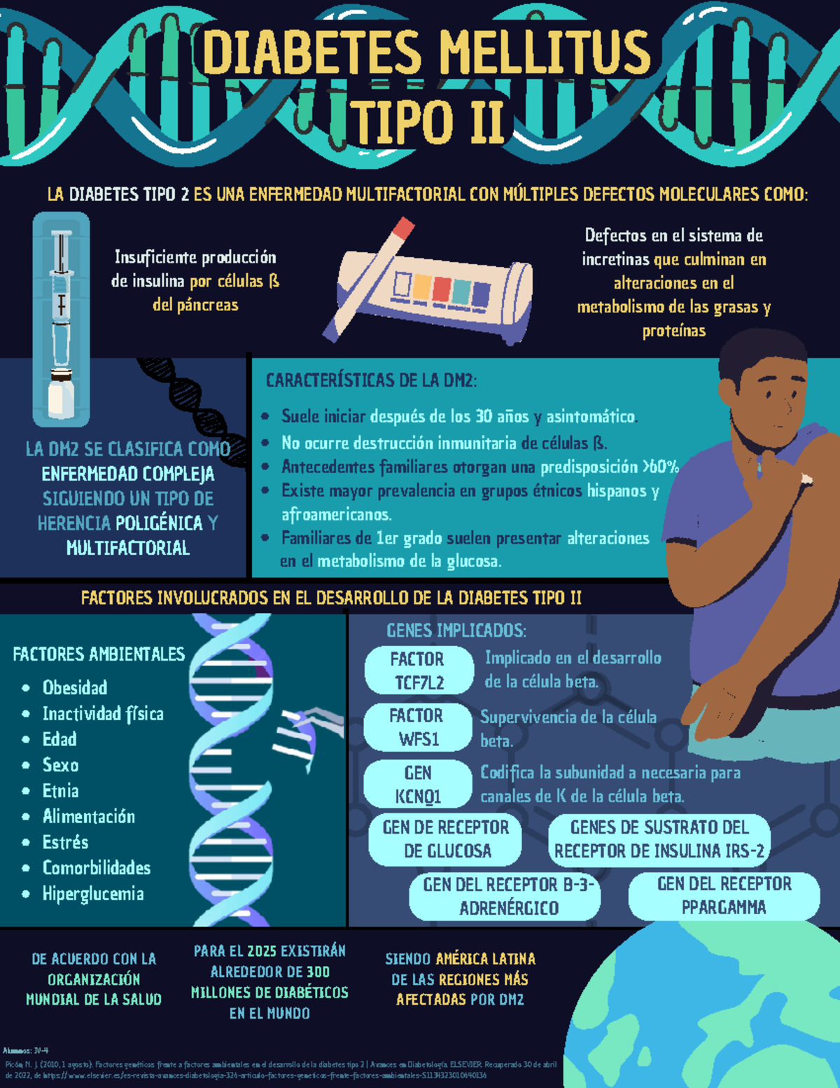 Infografía Diabetes Mellitus No ocurre destrucción inmunitaria de