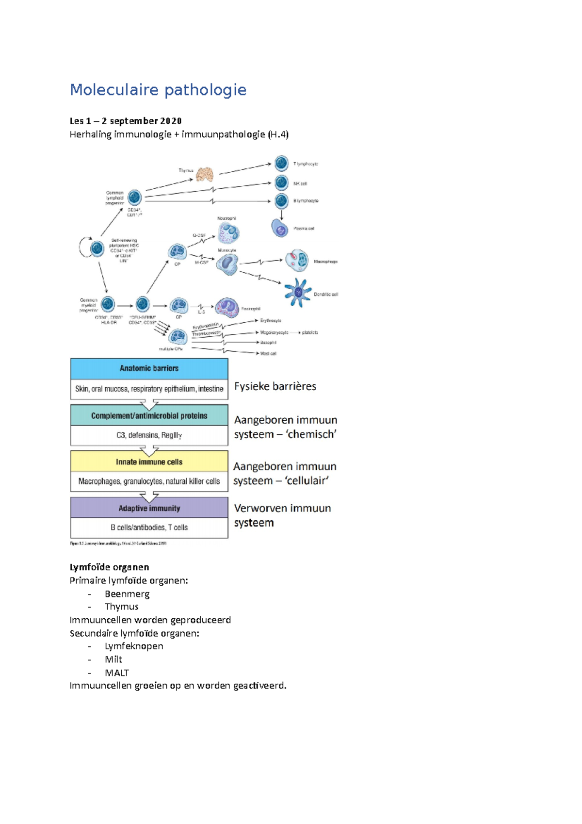 Samenvatting Moleculaire Biologie - Moleculaire Pathologie Les 1 – 2 ...