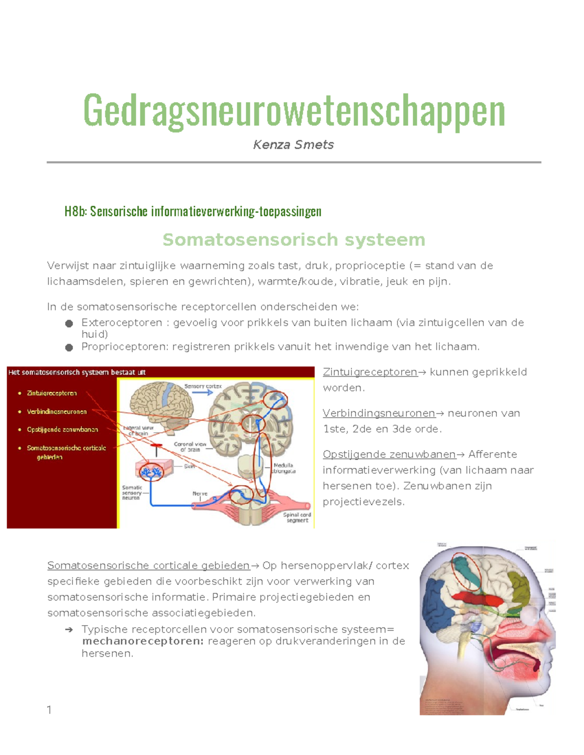 H8B Sensorische Informatieverwerking-toepassingen ...