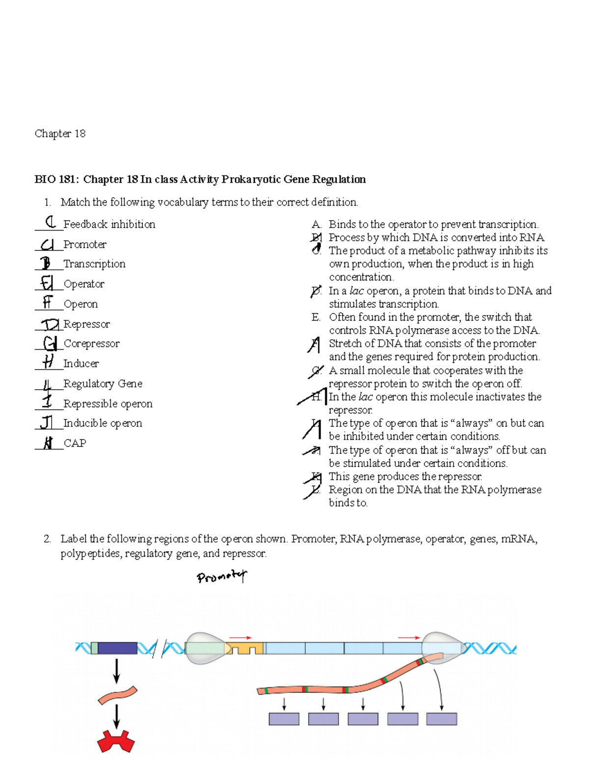 WEEK 14-HW-Ch 18 - Week 14 Chapter 18 Homework - Chapter 18 BIO 181 ...