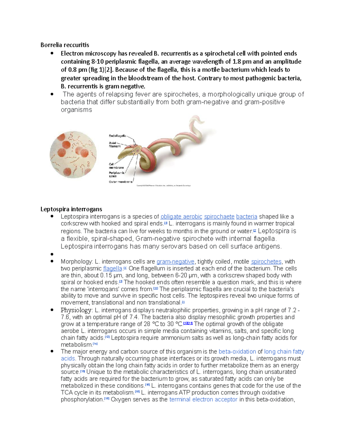 Micro Notes - Borrelia Reccuritis Electron Microscopy Has Revealed B ...