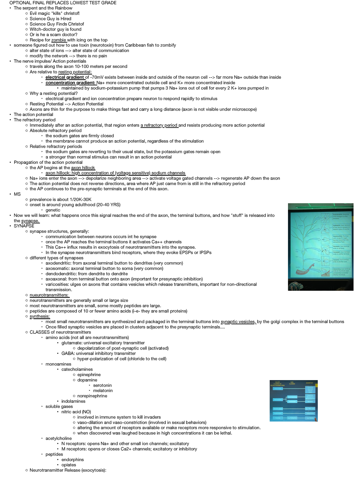 exam-2-lectures-optional-final-replaces-lowest-test-grade-the-serpent