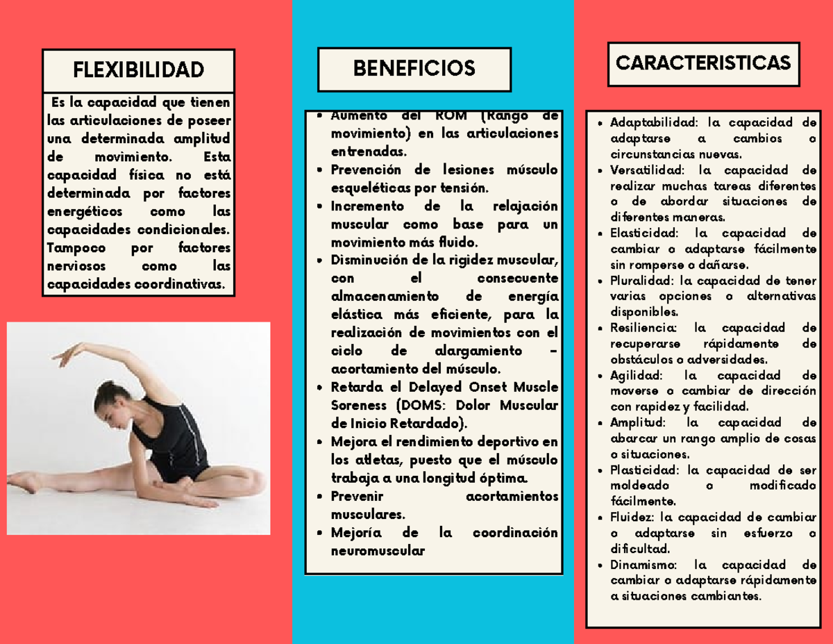 Folleto Flexibilidad - FLEXIBILIDAD Es la capacidad que tienen las