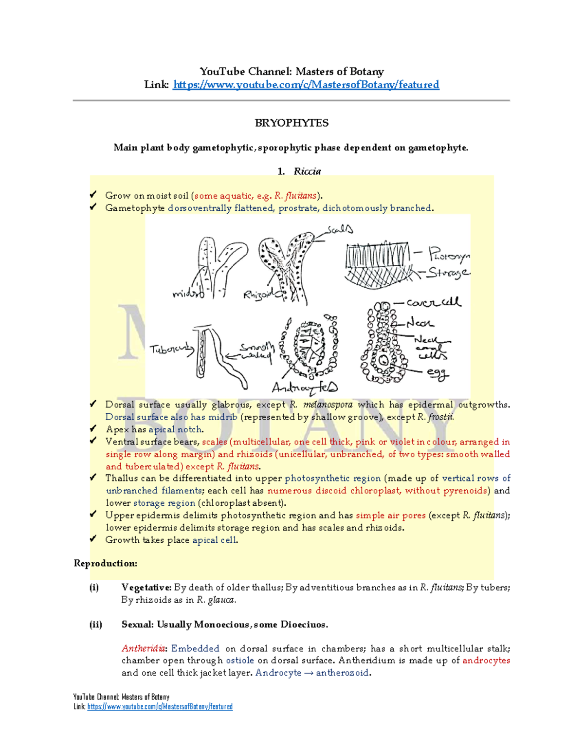 Final Bryophyte by Masters of Botany YouTube Channel Masters of