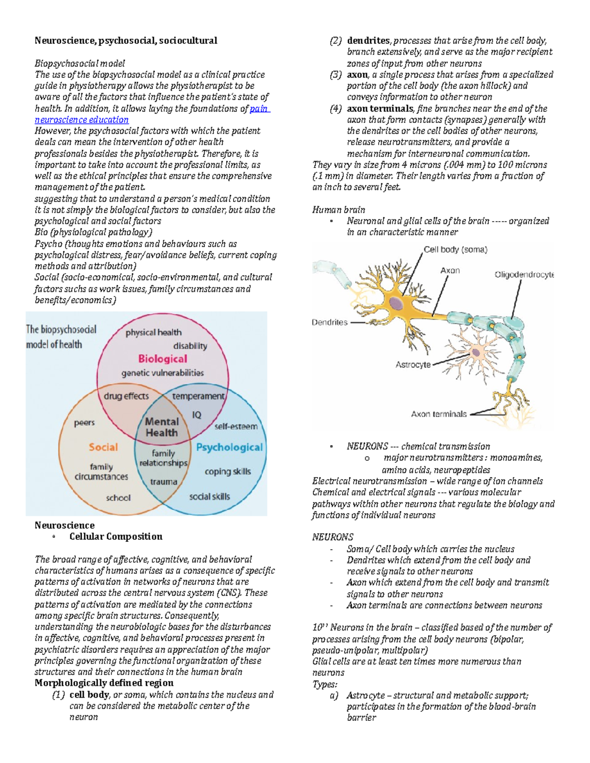 Short Psychology lecture about neuroscience Neuroscience