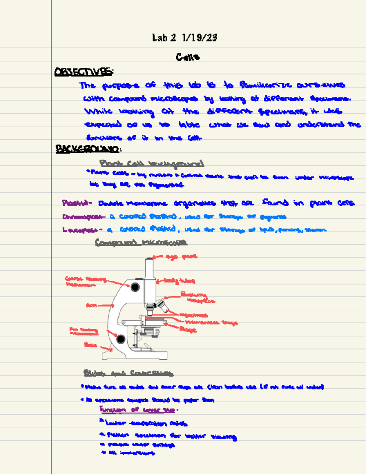 Bio 410 Lab notes 2 - Lab homework 2 - Cells JECTIVES: The purpose of ...