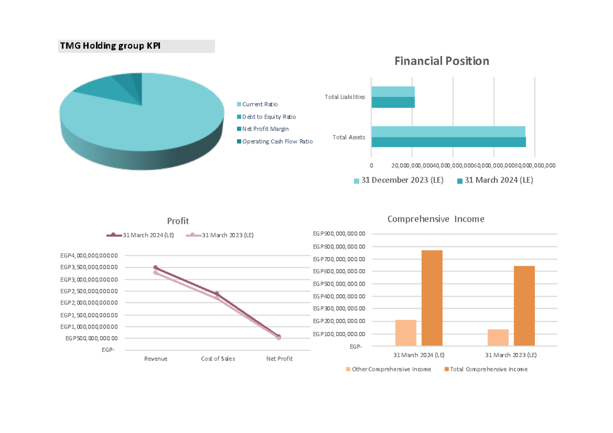 TMG Dashbord project 29 - TMG Holding group KPI Current Ratio Debt to ...