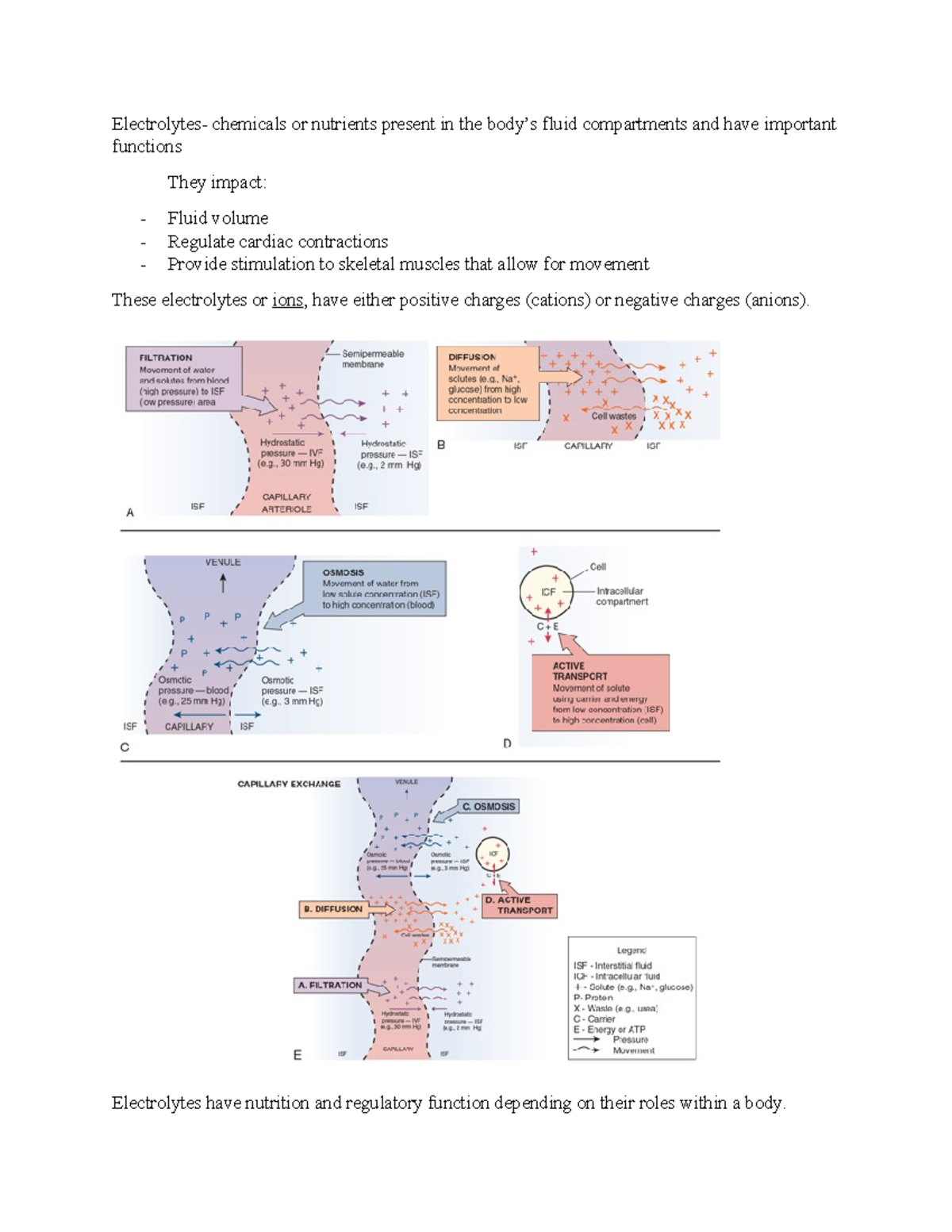 Patho- Electrolytes Lesson Notes - Electrolytes- chemicals or nutrients ...