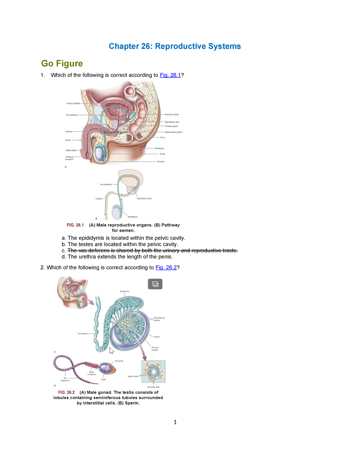 HOSE AHP106 Wk6 Assignment - Chapter 26: Reproductive Systems Go Figure ...