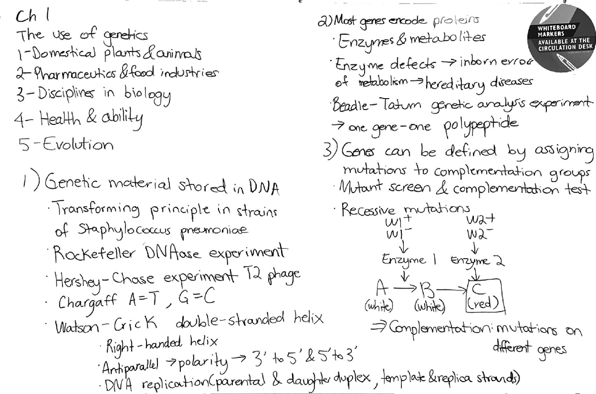 Biol 261 Summary - Biol261 - Studocu