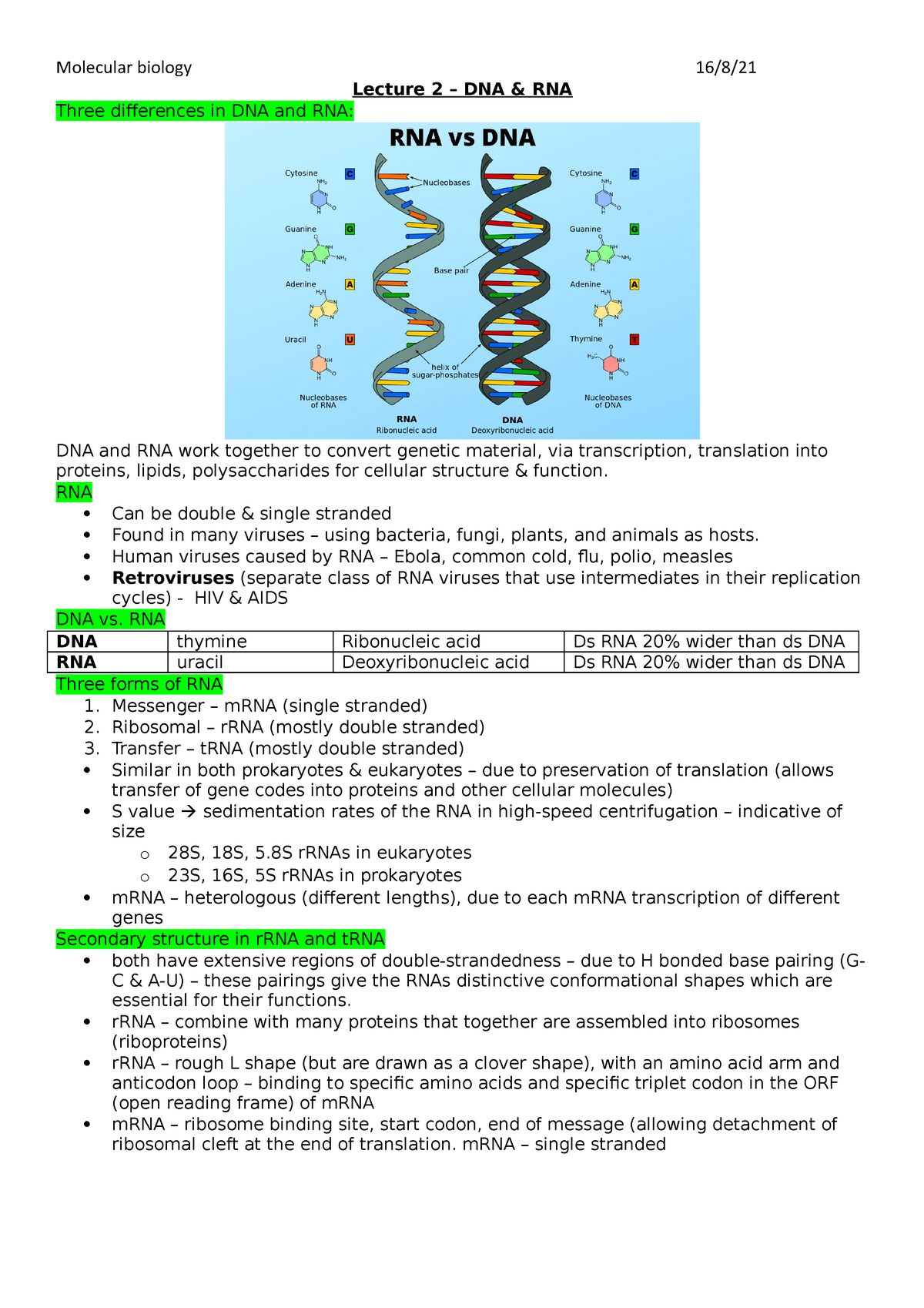 Lecture 2 - Lecture 2 – DNA & RNA Three differences in DNA and RNA: DNA ...