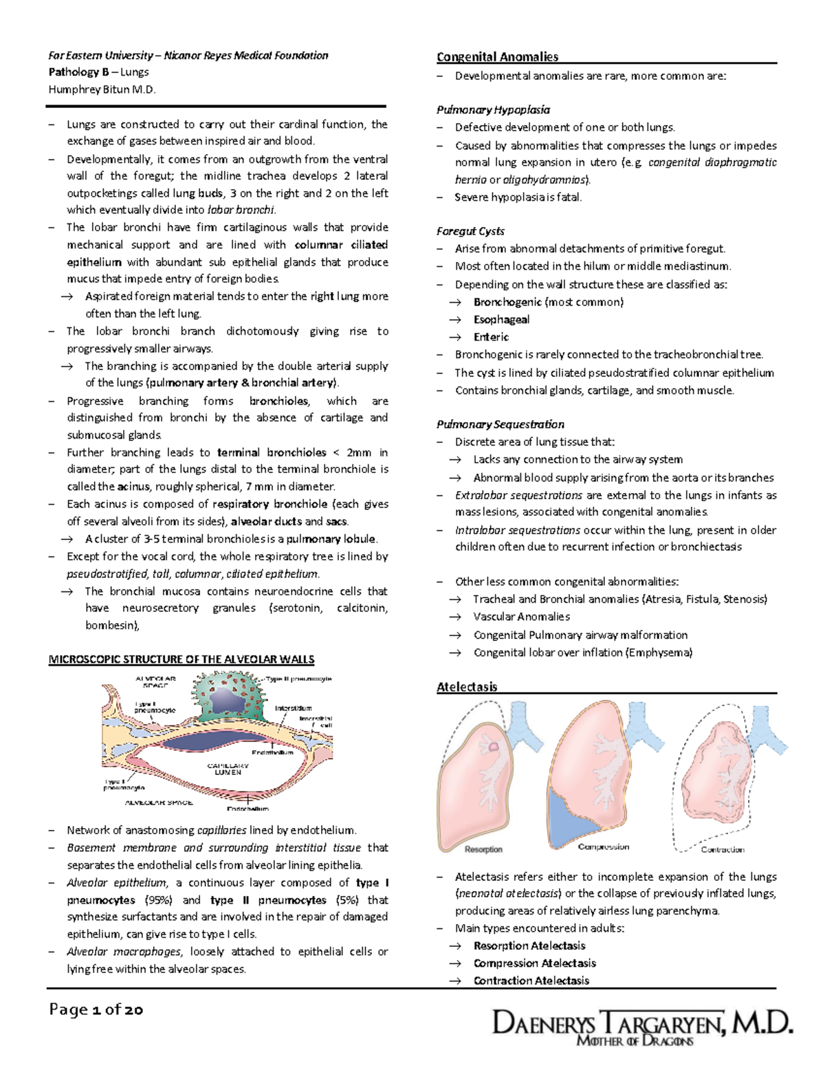 Pathology Of The Lungs - Far Eastern University – Nicanor Reyes Medical 