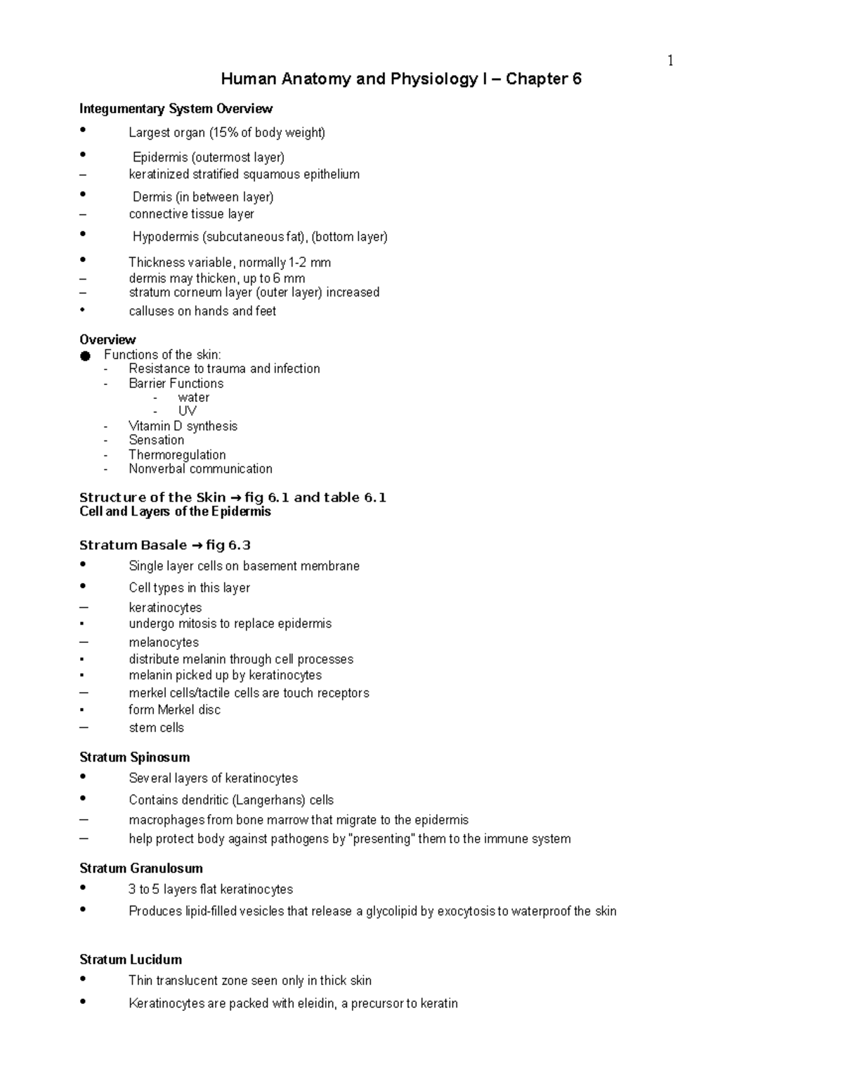 Ch. 6 - Lecture notes from Human A&P 1 for Allied Health with Mollie ...