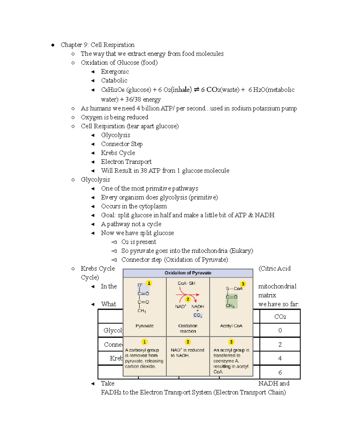 BIOL 1020 Exam 3 - Exam 3 Notes - Chapter 9: Cell Respiration The Way ...