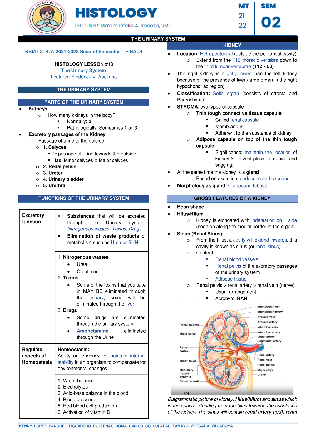 L13 - Urinary System - THE URINARY SYSTEM BSMT 2| S. 2021-2022 Second ...