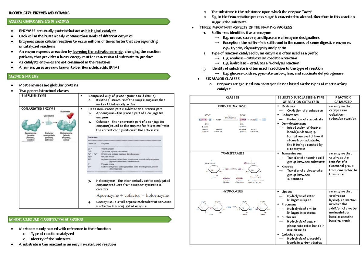Chapter 21 transes Enzymes BIOCHEMISTRY ENZYMES AND VITAMINS
