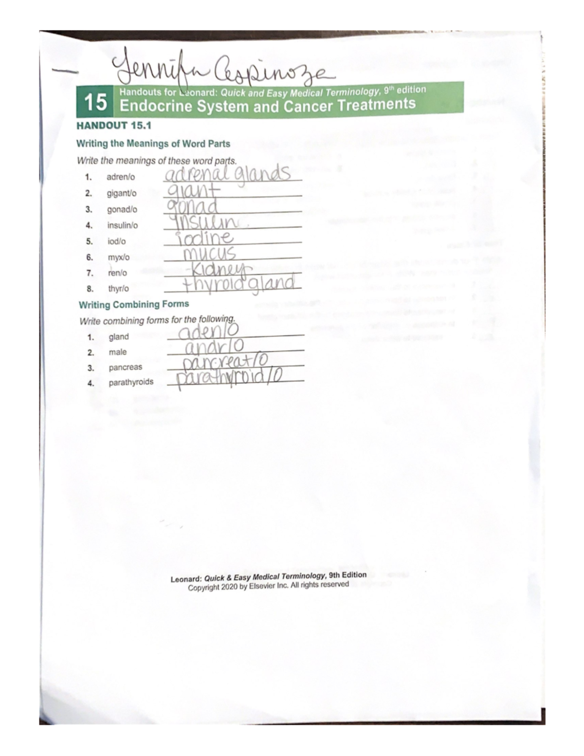 Handouts for Leonard Quick and Easy Medical Terminology, glh edition