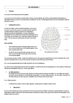 Paroi Thoracique Et Diaphragme - UE5 – Anatomie Pr. Cafargna Paroi ...