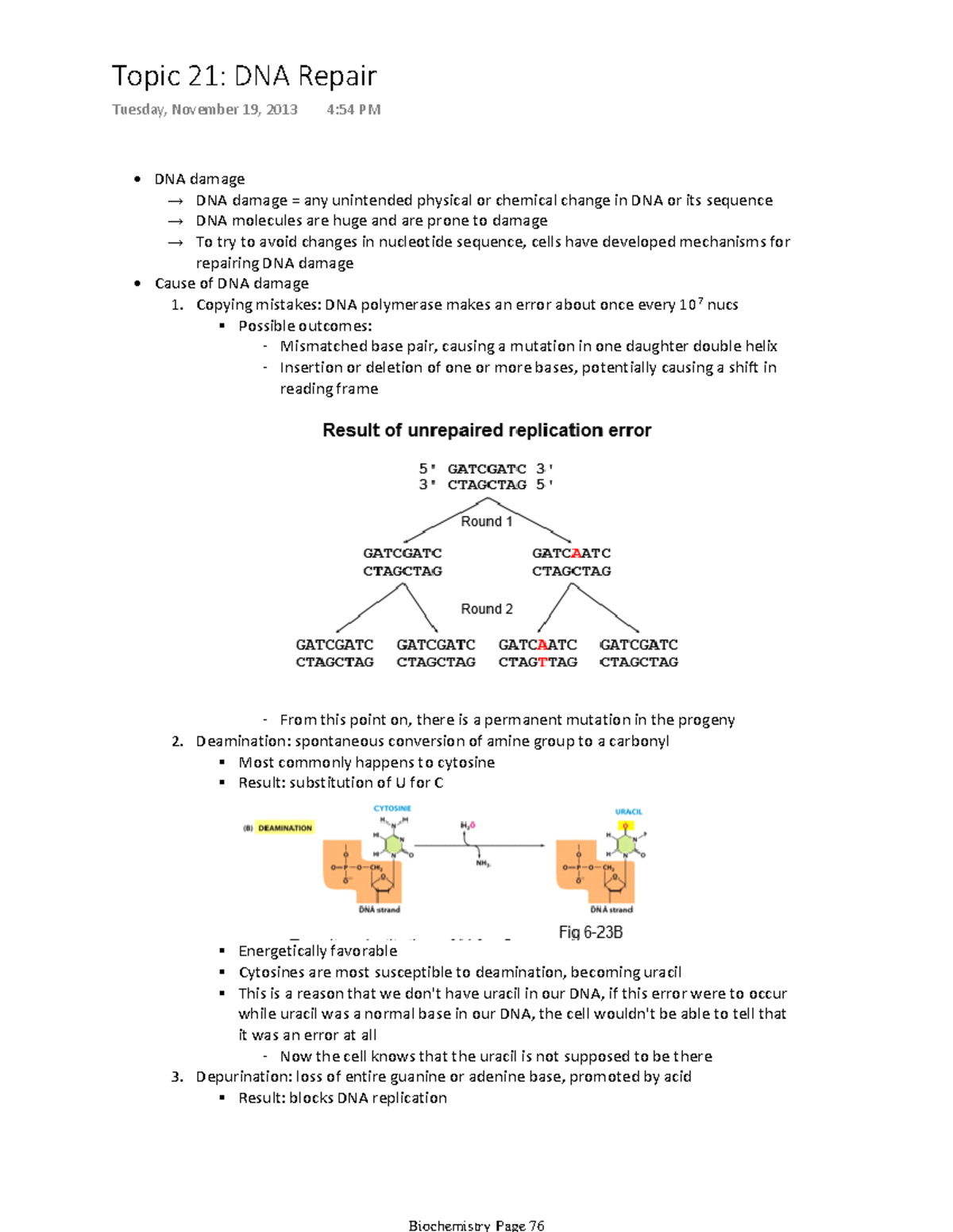 Biochem 2280 - Topic 21 Notes - → DNA damage = any unintended physical ...