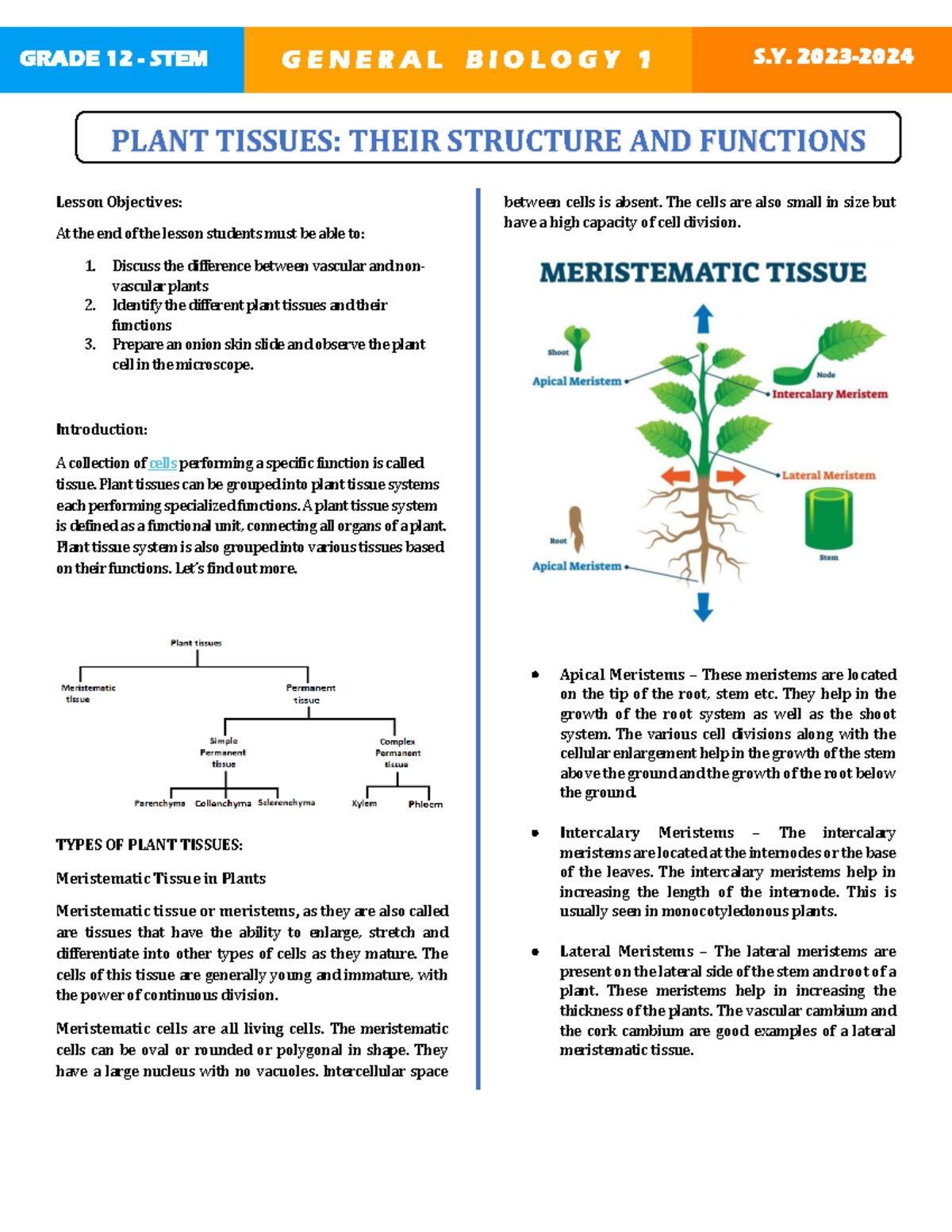 GEN BIO - Plant Tissues - GRADE 12 - STEM G E N E R A L B I O L O G Y 1 ...