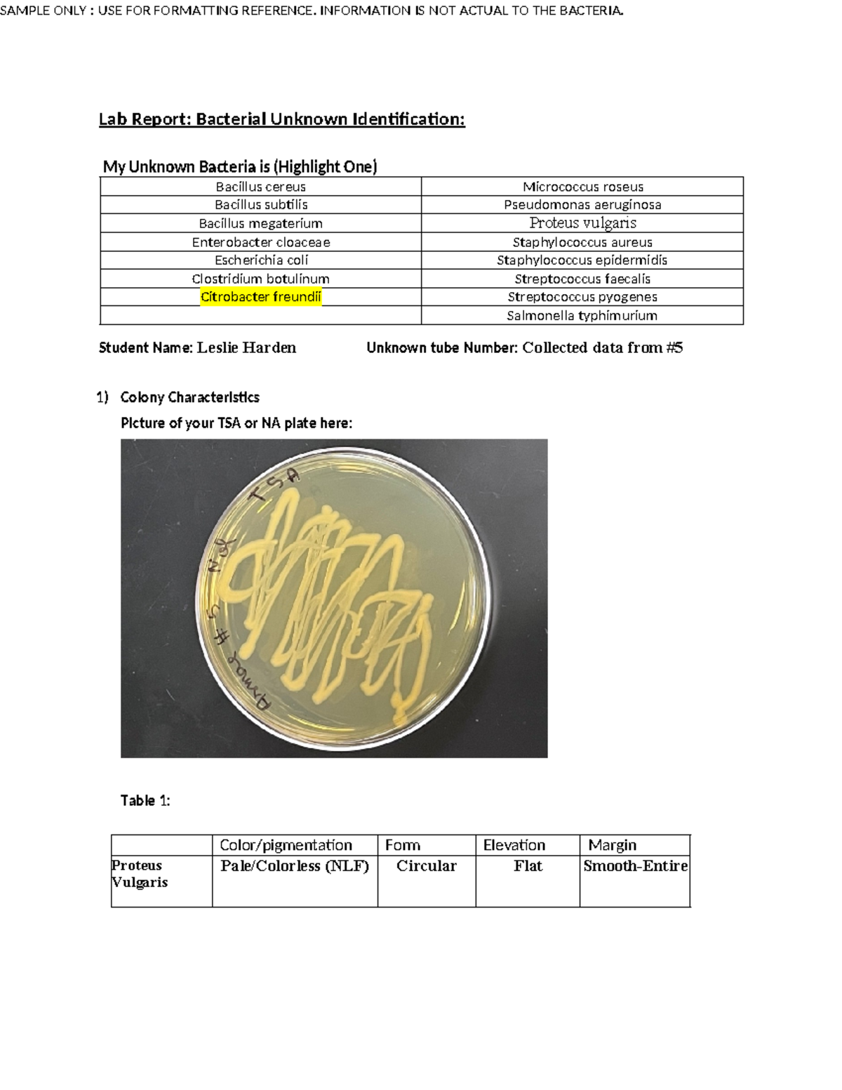 Sample Lab Report (Perfect Format) Lab Report Bacterial Unknown