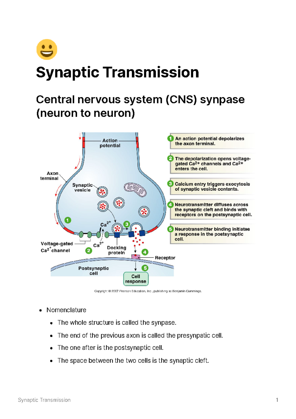 Synaptic Transmission and Neurotransmitters - Studocu