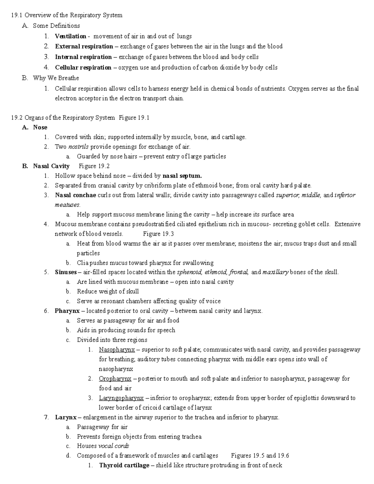 chapter-19-the-respiratory-system-19-overview-of-the-respiratory