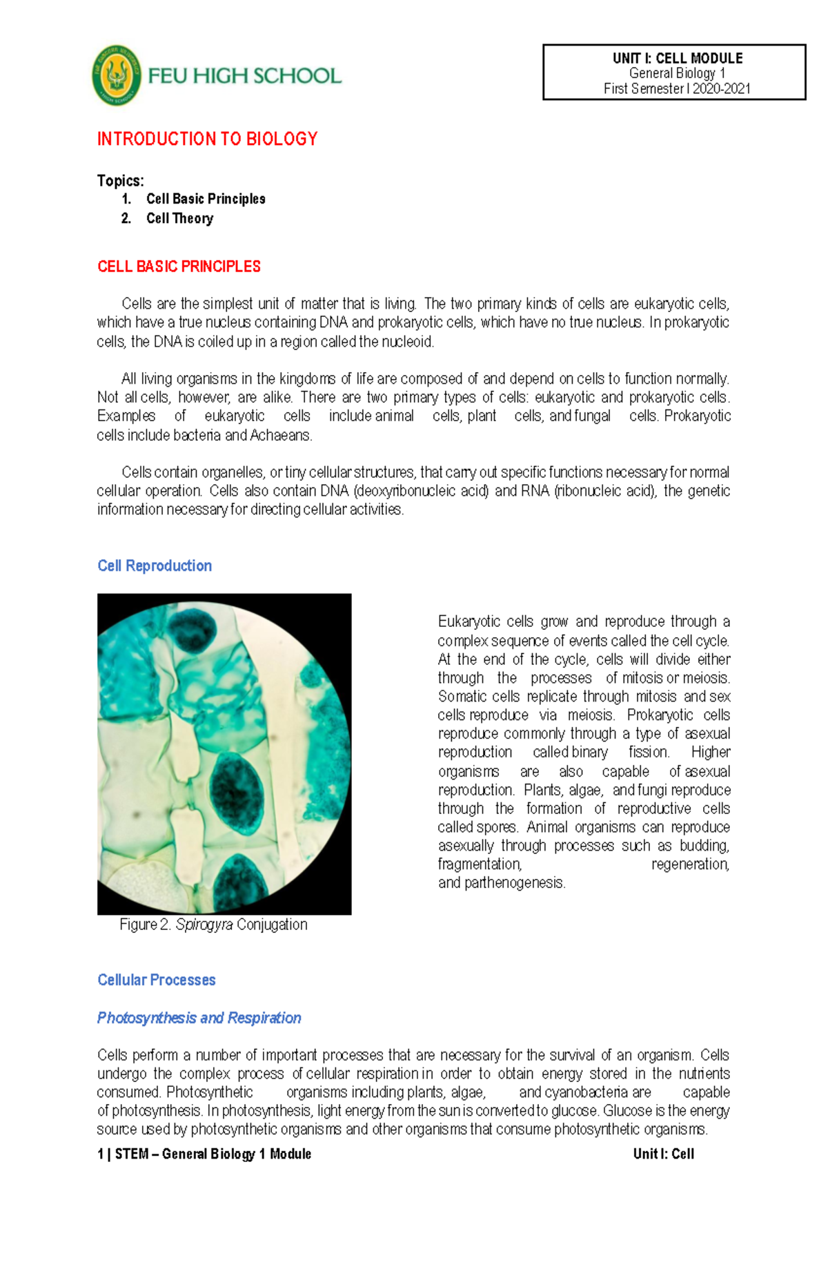 Module 2 Basic Principles of Cell & Cell Theory General Biology 1