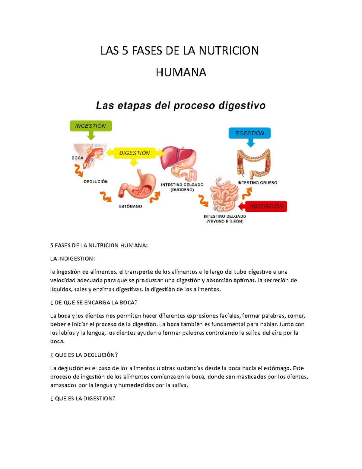 LAS 5 Fases DE LA Nutricion LAS 5 FASES DE LA NUTRICION HUMANA 5 FASES ...