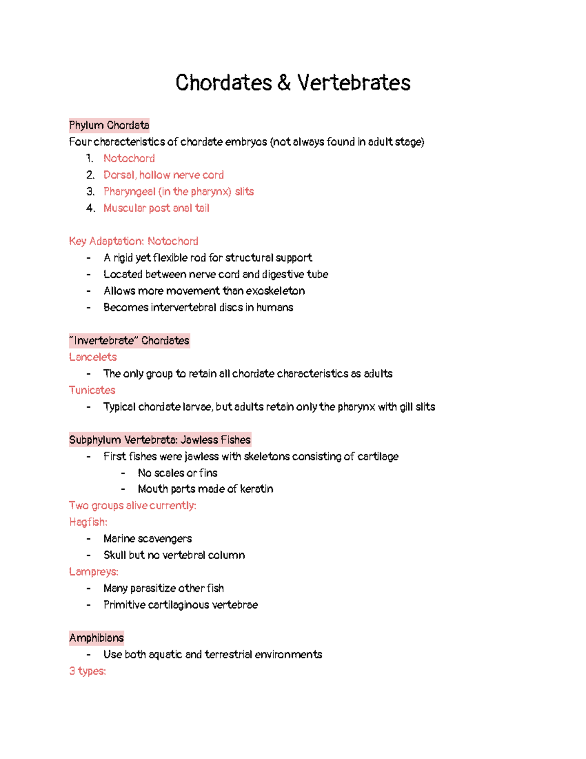 Chordates And Vertebrates - Chordates & Vertebrates Phylum Chordata ...