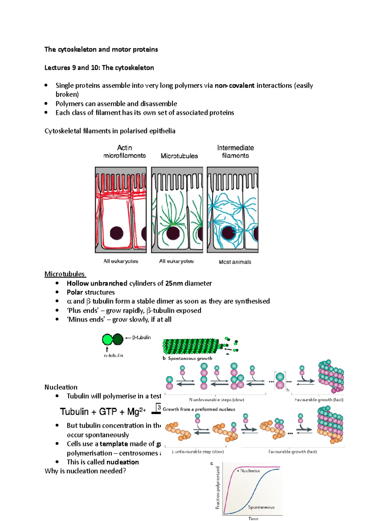 Lectures 9-11 - Lecture notes 9, 10, 11 - The cytoskeleton and motor ...