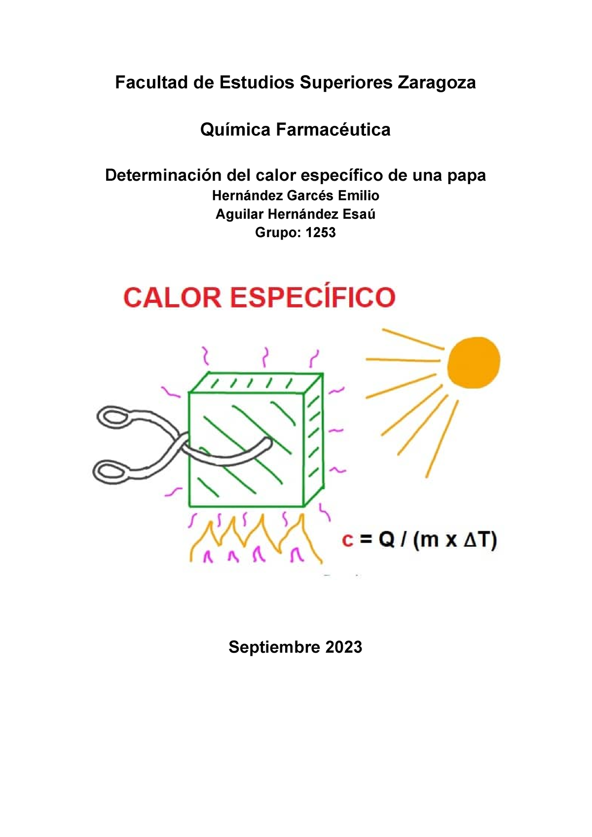 TERMO AGUA FRÍA Y CALIENTE🧉 Ideales para el Papá matero💙