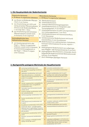 Alle Beantworteten Fragen Aus Dem Geomorphologie/Bodenkunde Lernskript ...