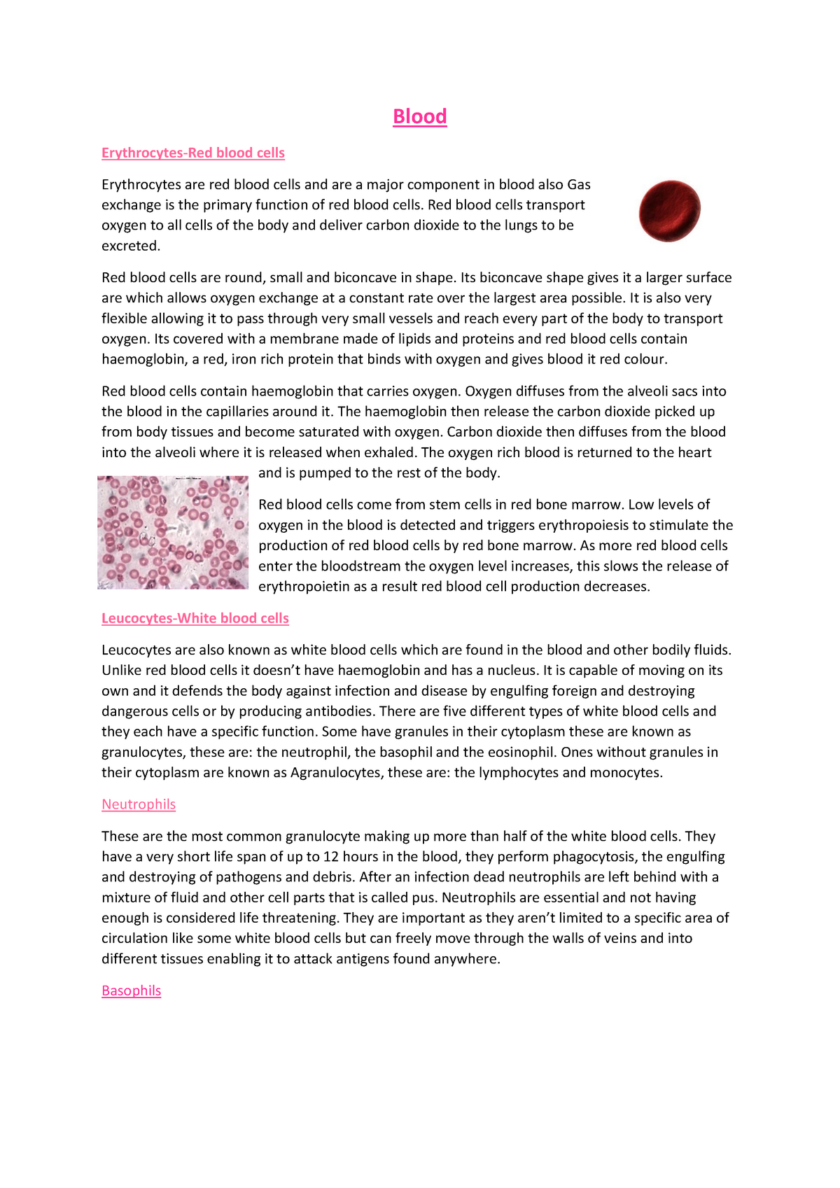 essay on blood circulation