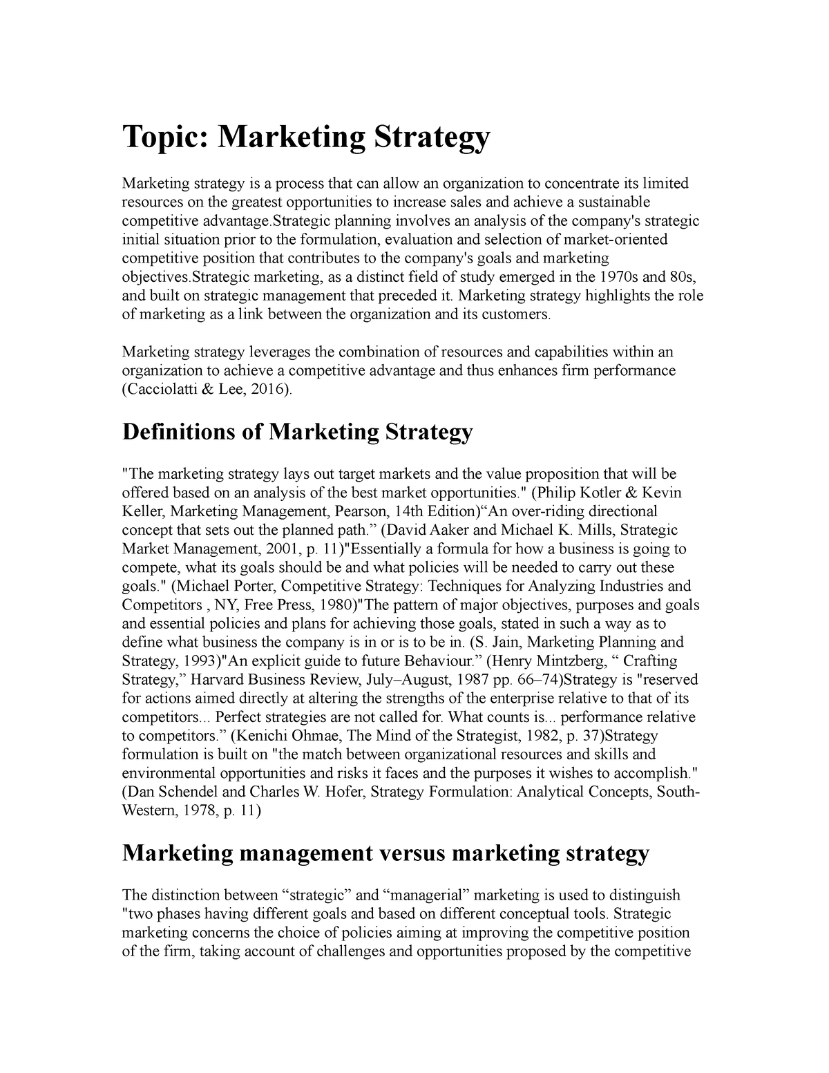 essay on marketing strategy