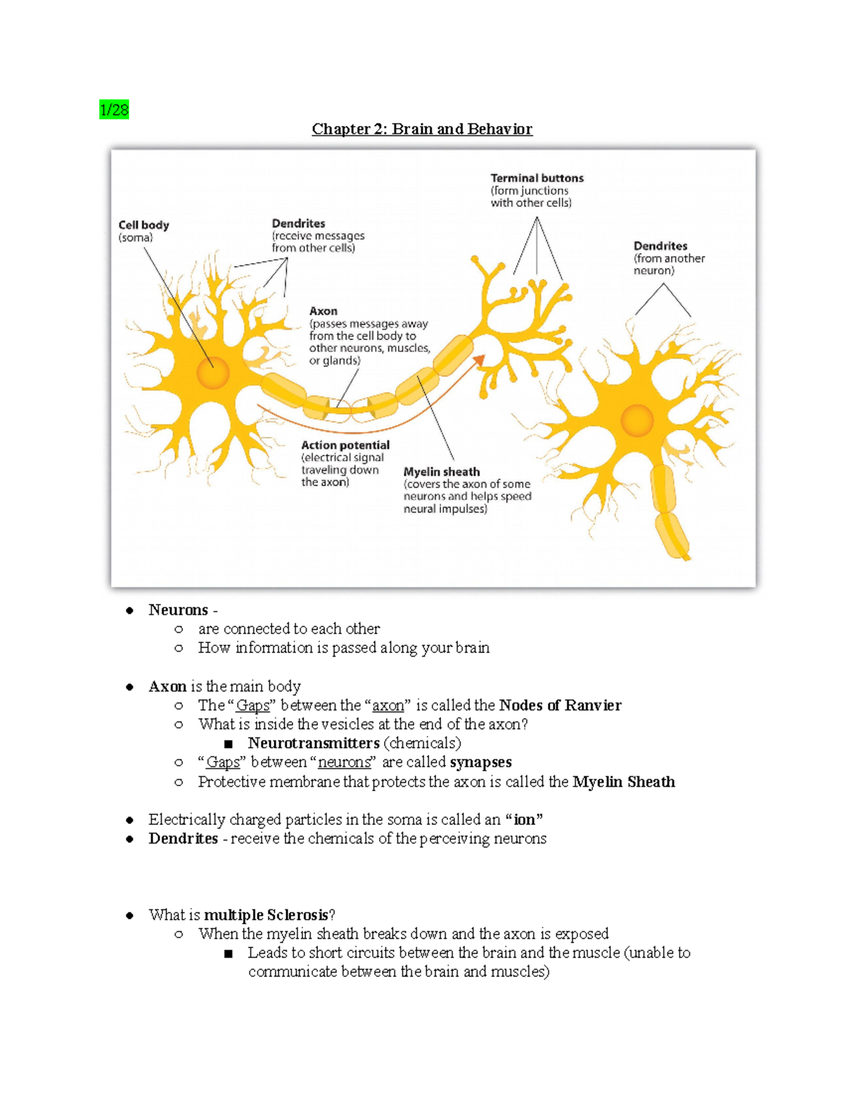Chapter 2 Brain and Behavior - 1/ Chapter 2: Brain and Behavior Neurons ...