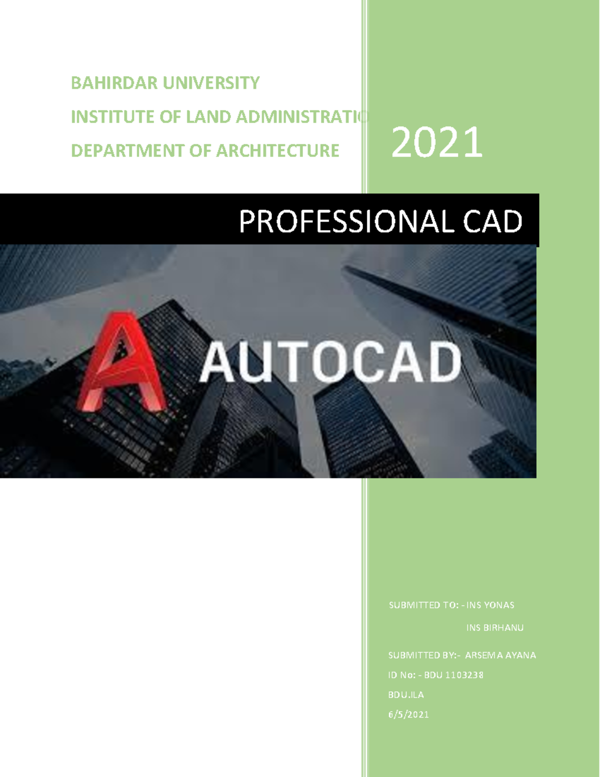 Autocad assignment - HHdHdjHdjdHdjdkHdjdkkddhdhd - BAHIRDAR UNIVERSITY ...