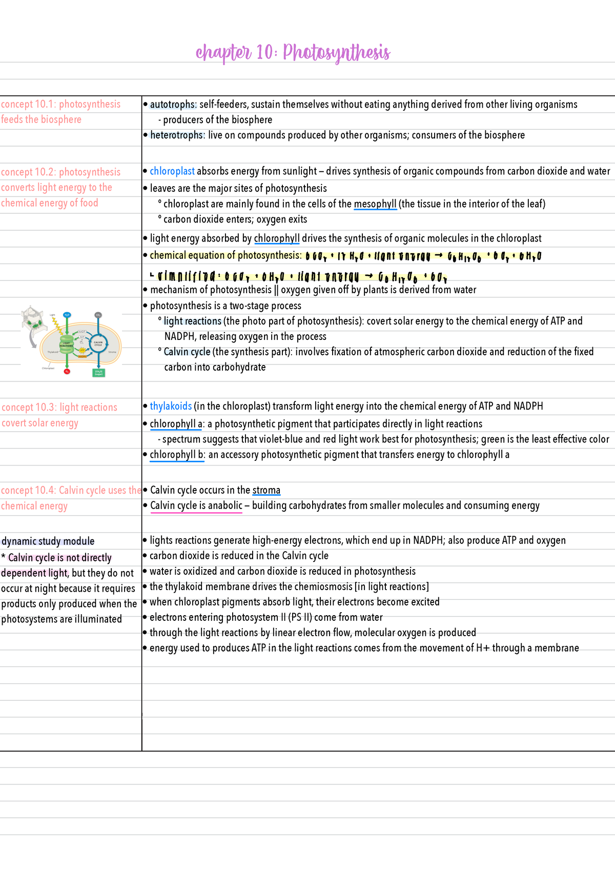 Chapter 10: Photosynthesis - Chapter 10: Photosynthesis Autotrophs ...